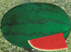 �����ز����